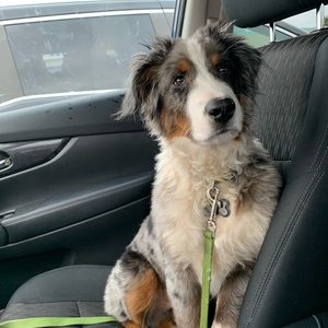 Meet your Posher, Cynthia